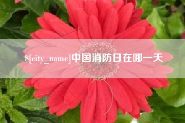 湘西中国消防日在哪一天