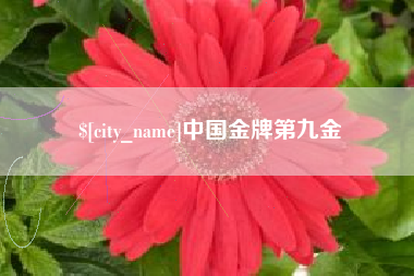 湘西中国金牌第九金