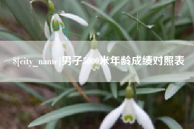 湘西男子5000米年龄成绩对照表
