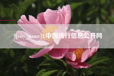 湘西1.中国执行信息公开网