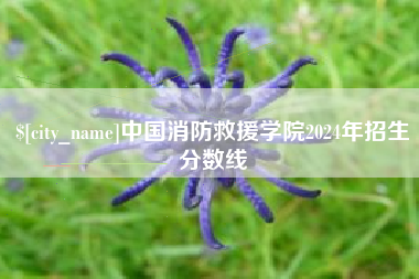 湘西中国消防救援学院2024年招生分数线
