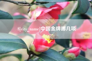 湘西中国金牌哪几项