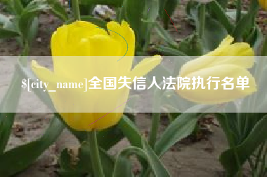 湘西全国失信人法院执行名单