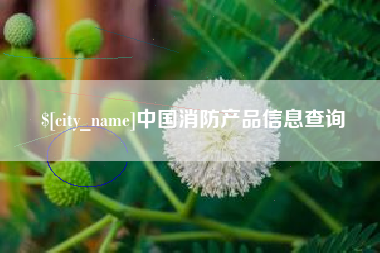 湘西中国消防产品信息查询