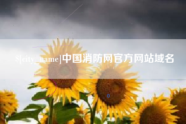 湘西中国消防网官方网站域名