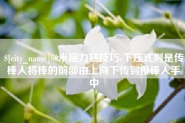 湘西60米接力赛技巧-下压式则是传棒人将棒的前部由上向下传到接棒人手中