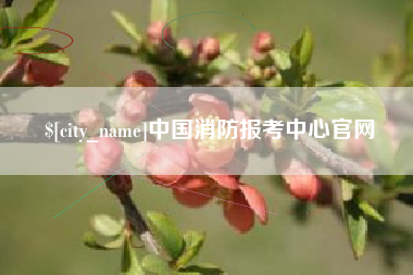 湘西中国消防报考中心官网