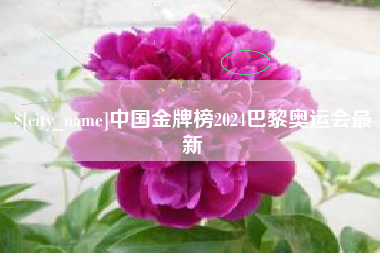 湘西中国金牌榜2024巴黎奥运会最新