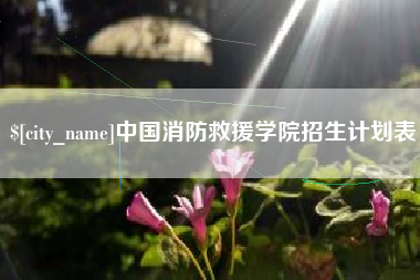 湘西中国消防救援学院招生计划表
