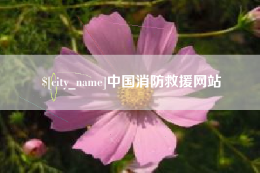 湘西中国消防救援网站