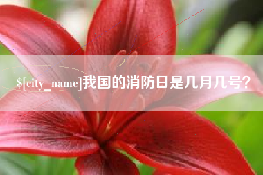 湘西我国的消防日是几月几号？