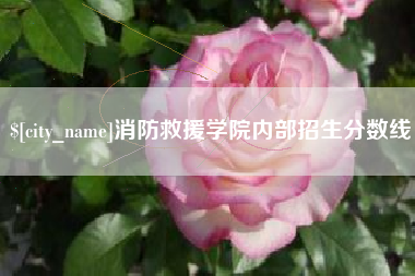 湘西消防救援学院内部招生分数线