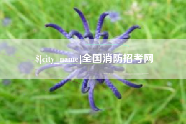 湘西全国消防招考网