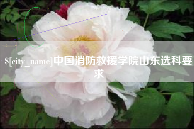 湘西中国消防救援学院山东选科要求