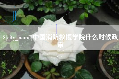 湘西中国消防救援学院什么时候政审