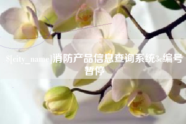 湘西消防产品信息查询系统3c编号暂停