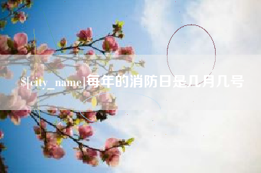湘西每年的消防日是几月几号