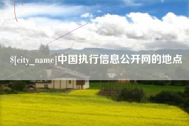 湘西中国执行信息公开网的地点