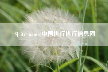 湘西中国执行执行信息网