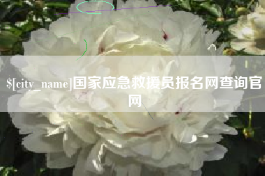 湘西国家应急救援员报名网查询官网