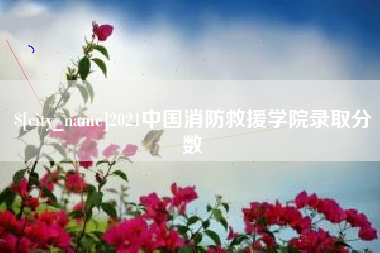 湘西2021中国消防救援学院录取分数
