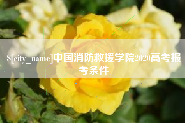 湘西中国消防救援学院2020高考报考条件