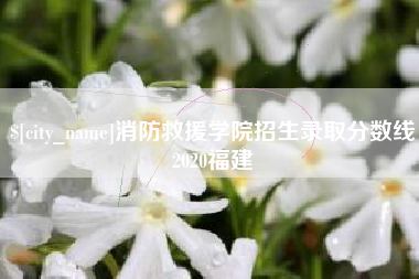 湘西消防救援学院招生录取分数线2020福建
