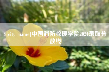 湘西中国消防救援学院2021录取分数线