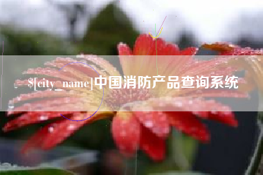 湘西中国消防产品查询系统
