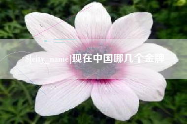 湘西现在中国哪几个金牌