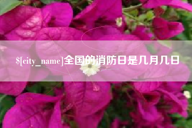湘西全国的消防日是几月几日