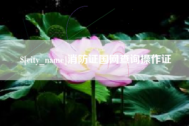 湘西消防证国网查询操作证
