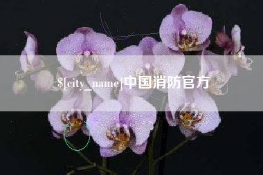 湘西中国消防官方