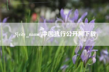 湘西中国执行公开网下载