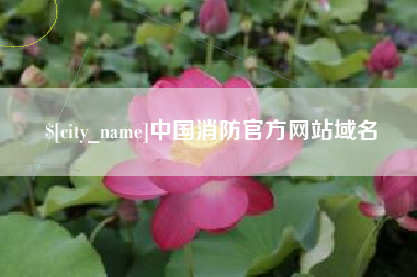 湘西中国消防官方网站域名