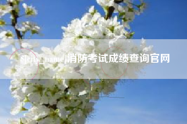 湘西消防考试成绩查询官网