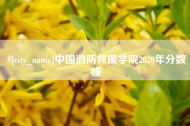 湘西中国消防救援学院2020年分数线