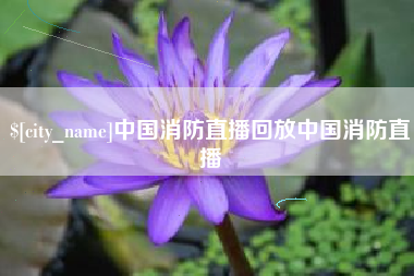 湘西中国消防直播回放中国消防直播
