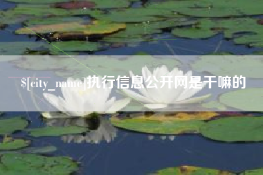 湘西执行信息公开网是干嘛的