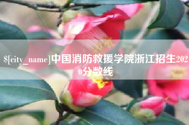 湘西中国消防救援学院浙江招生2020分数线