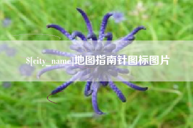 湘西地图指南针图标图片