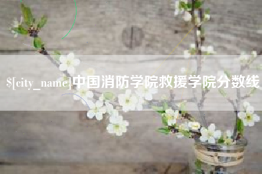 湘西中国消防学院救援学院分数线