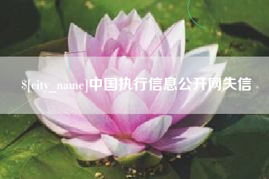 湘西中国执行信息公开网失信