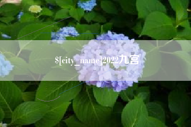 湘西2022九宫
