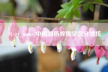 湘西中国消防救援学院分数线