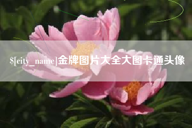 湘西金牌图片大全大图卡通头像