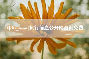 湘西执行信息公开网查询免费