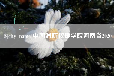 湘西中国消防救援学院河南省2020