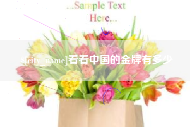 湘西看看中国的金牌有多少
